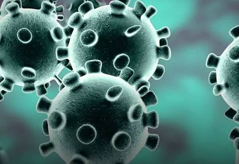 A war on pandemic: Let the fight be with fairness