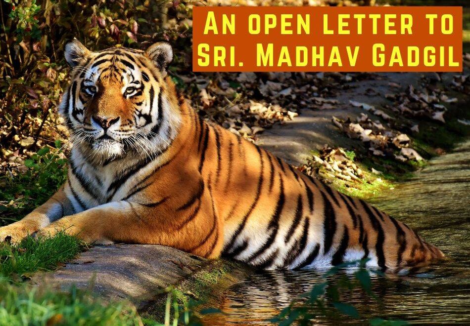 An open letter to Sri. Madhav Gadgil