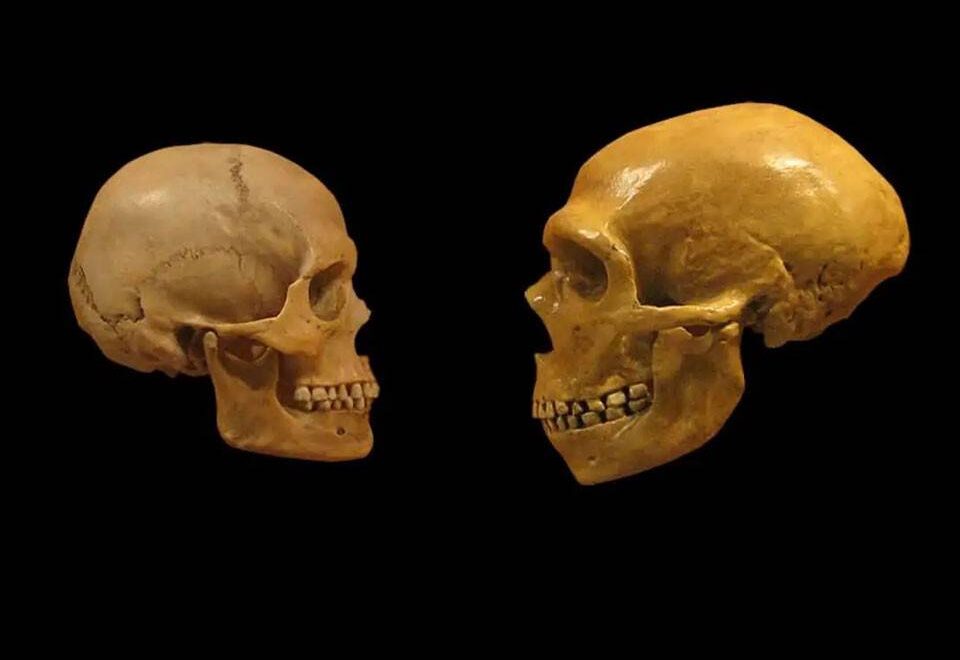 Are we homo-sapiens or hetero-sapiens?