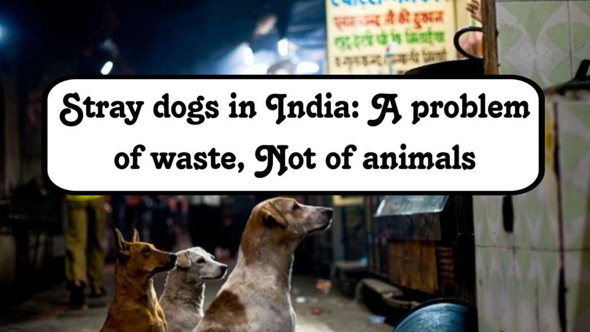 Stray Dogs in India: A Problem of Waste, Not of Animals
