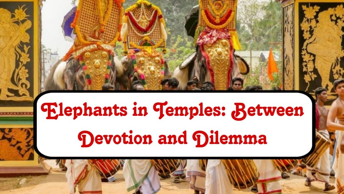 Elephants in Temples: Between Devotion and Dilemma