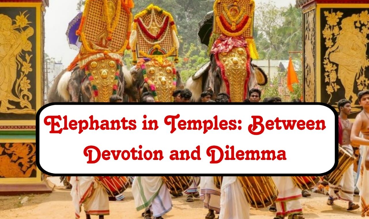 Elephants in Temples: Between Devotion and Dilemma