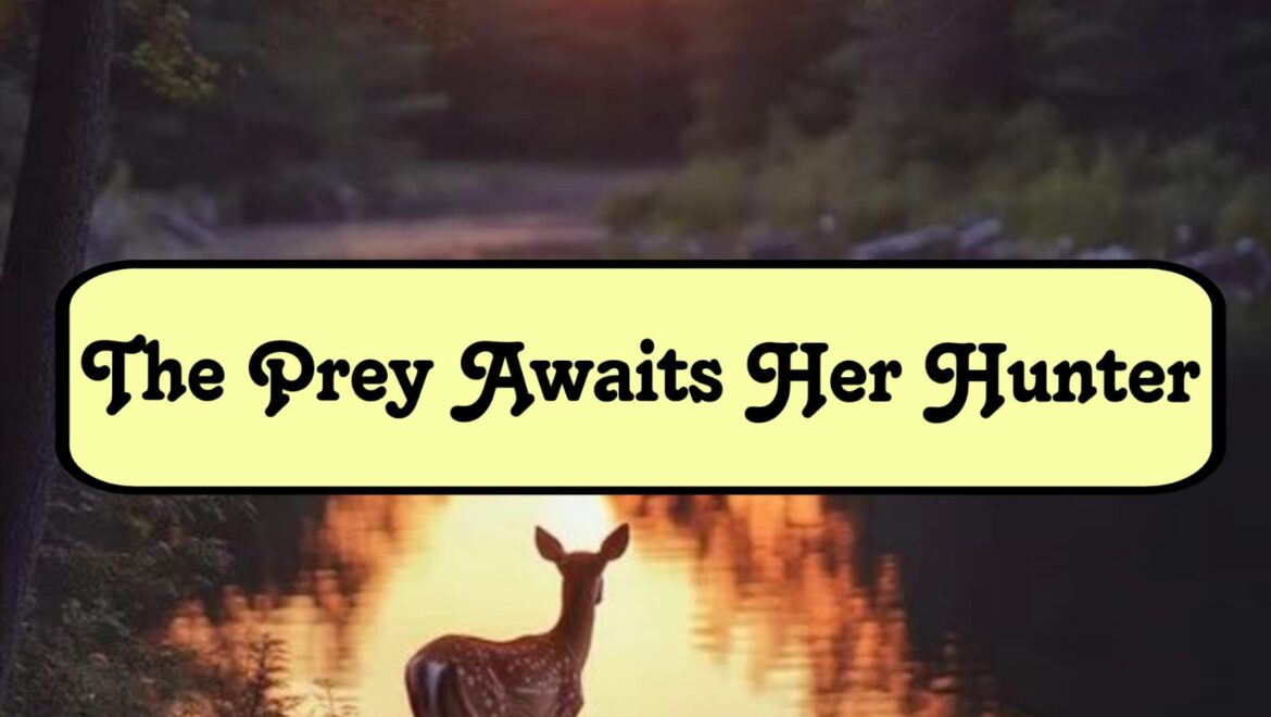 The Prey Awaits Her Hunter