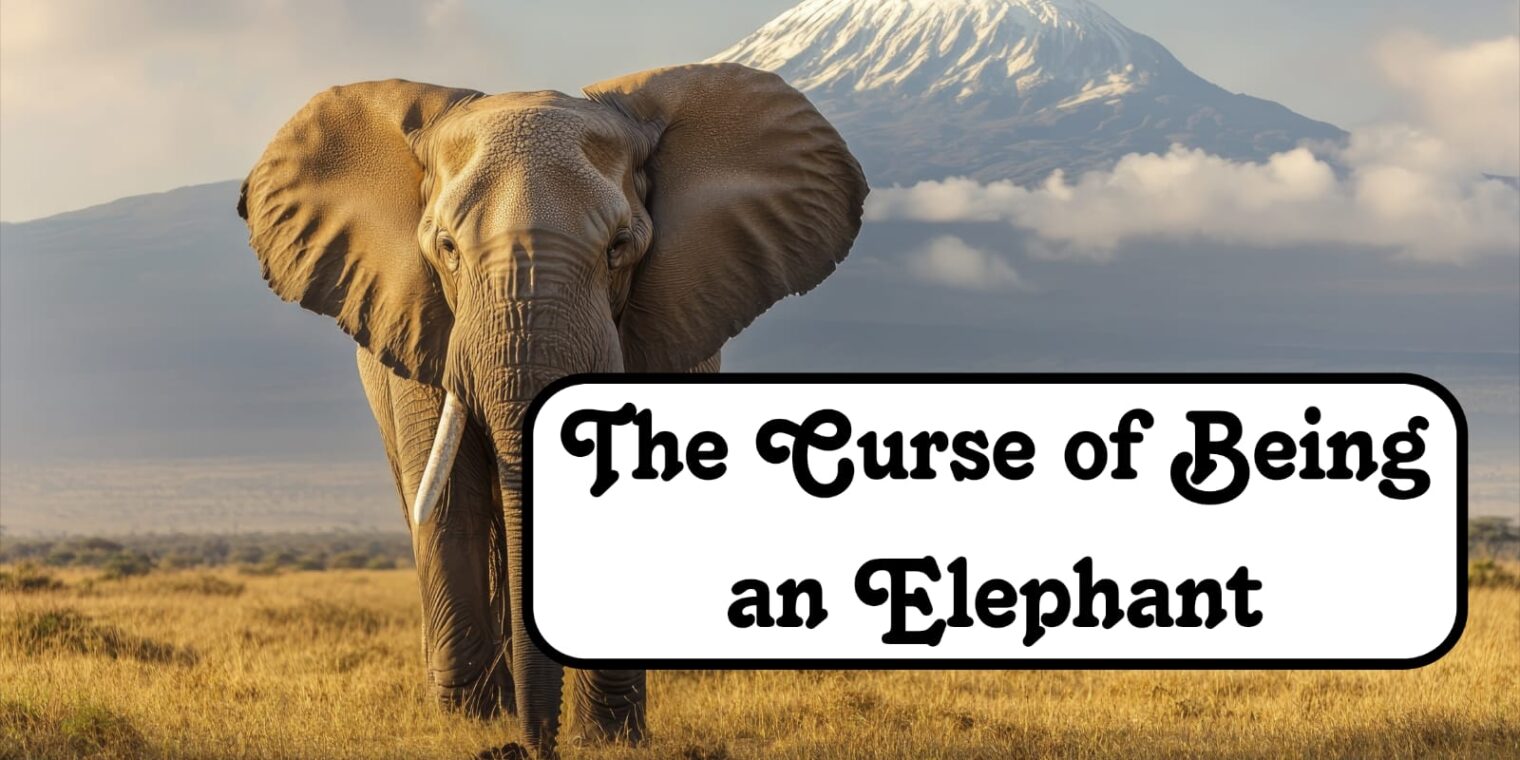 The Curse of Being an Elephant