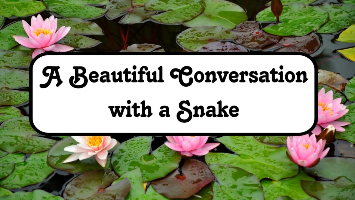 A Beautiful Conversation with a Snake