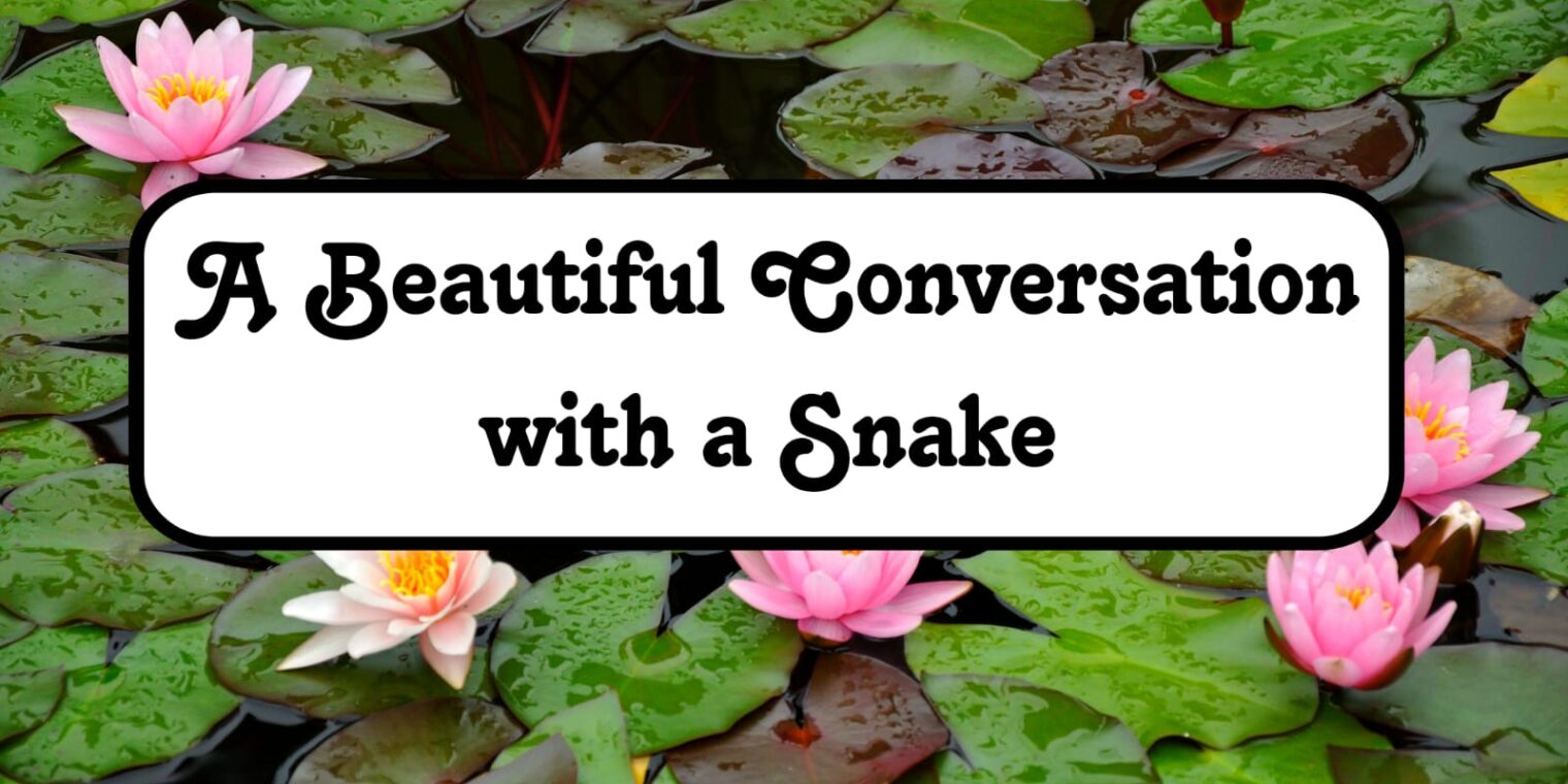 A Beautiful Conversation with a Snake