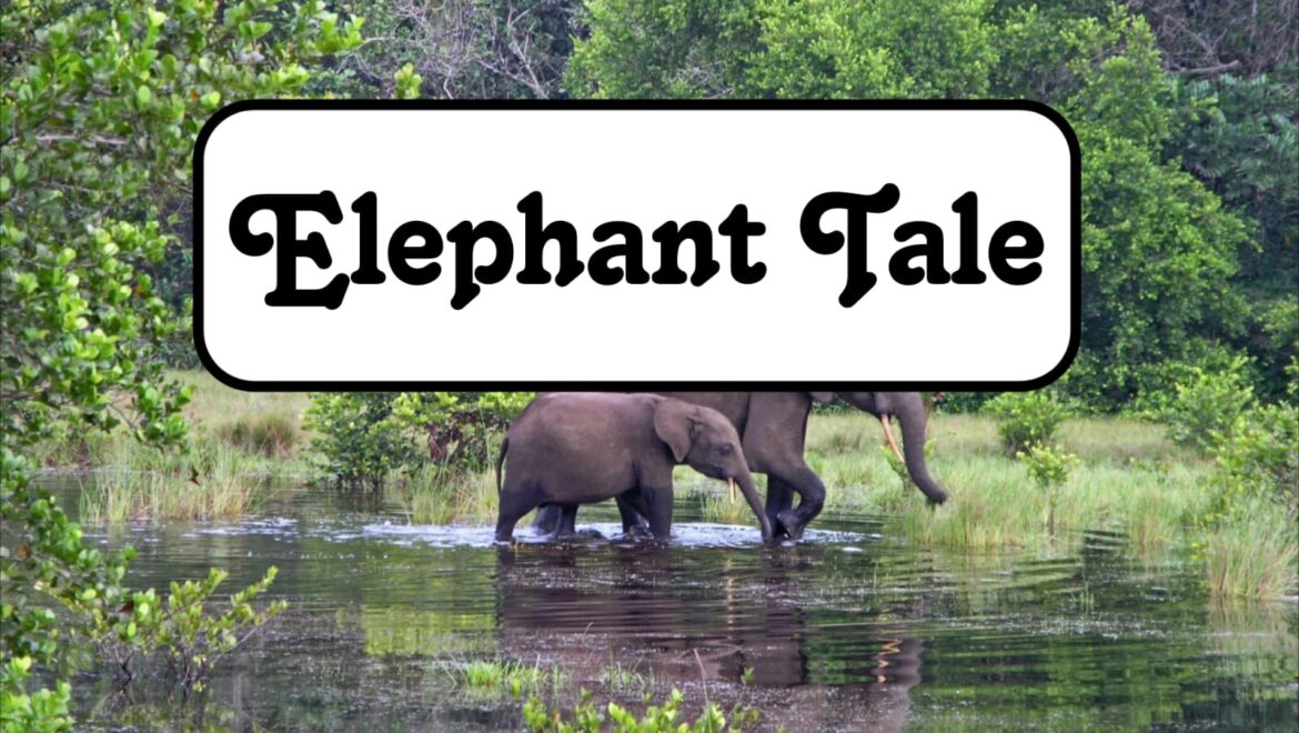 Elephant Tale