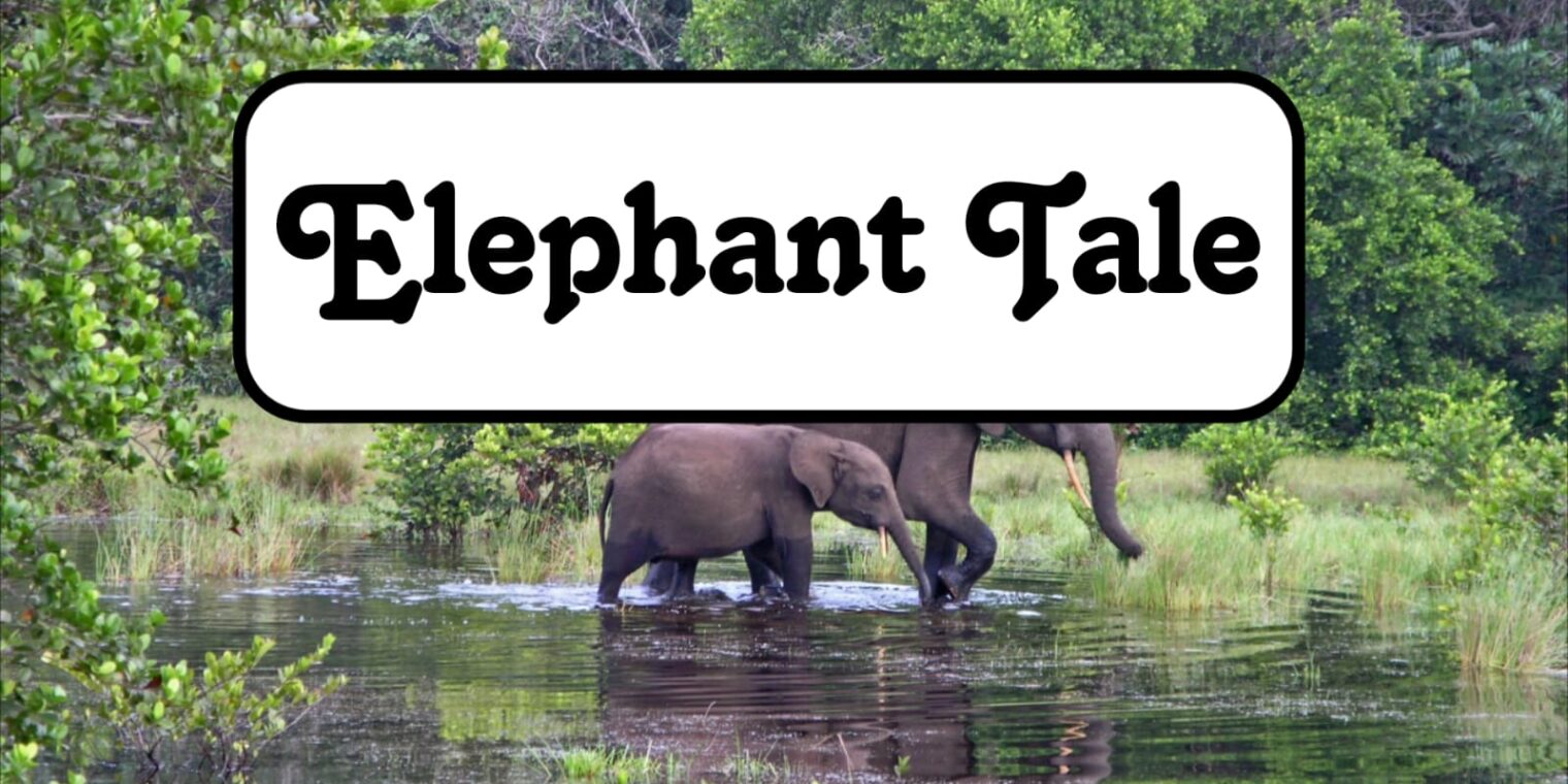 Elephant Tale